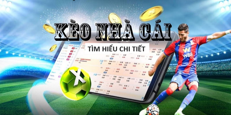 Top 10 trang cá cược Esport HL88 Top 10 trang cá cược Esport HL88